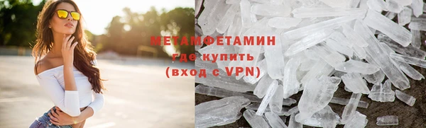 прущие грибы Володарск