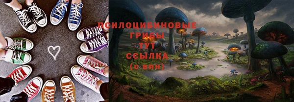 прущие грибы Володарск